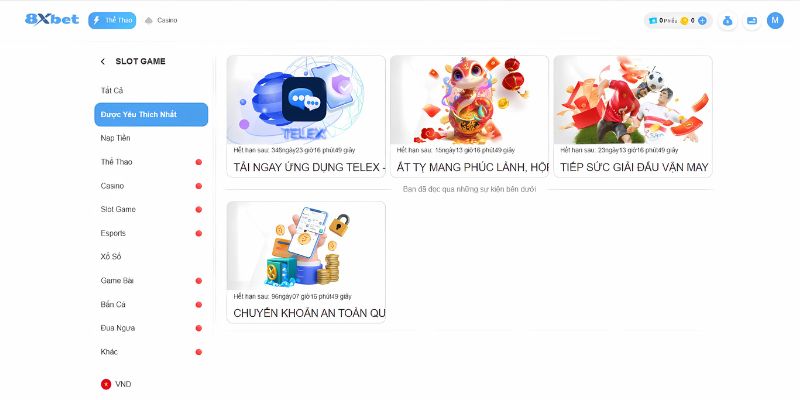 trang cá cược bóng đá uy tín 8xbet khuyến mãi cực HOT 